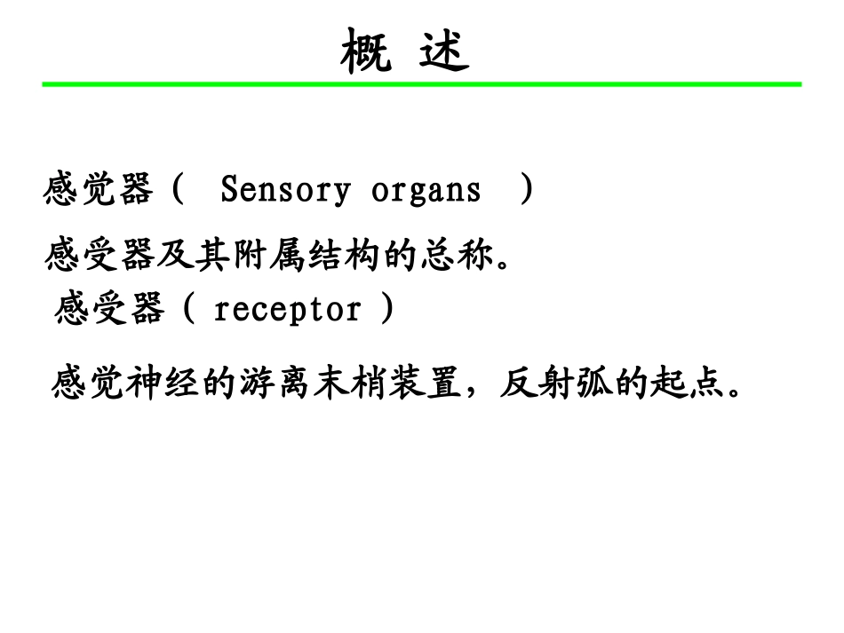 解剖学感觉器视器_第2页