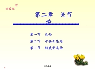 解剖学关节学