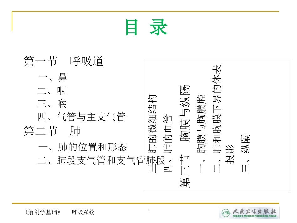 解剖学基础第四章呼吸系统_第2页