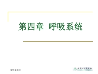 解剖学基础第四章呼吸系统