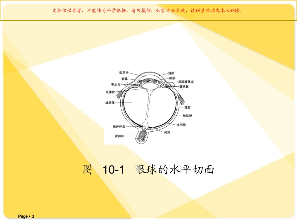 解剖学基础感觉器官课件_第3页