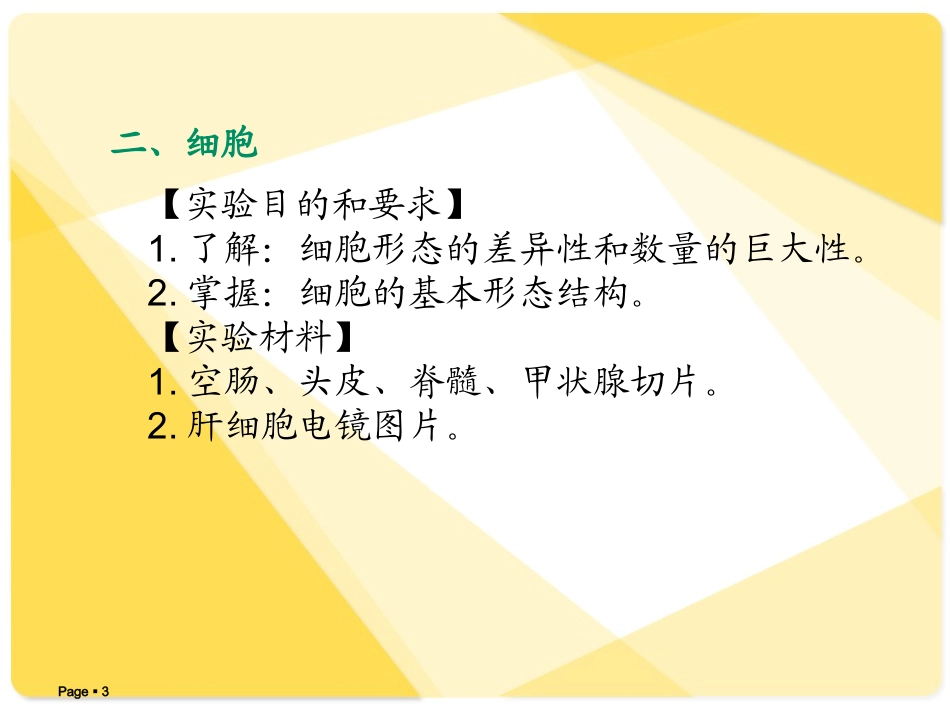 解剖学基础课程解剖学基础实验指导_第3页