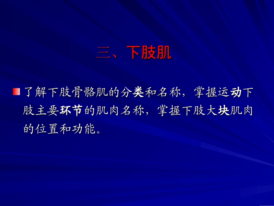 解剖学下肢肌_第1页