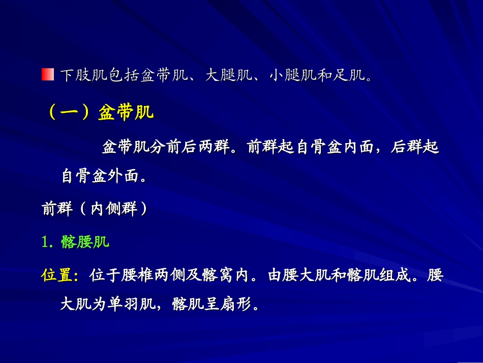 解剖学下肢肌_第2页