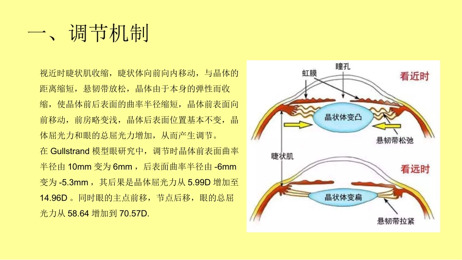 近视发病机制功能性改变调节与聚散机制_第3页