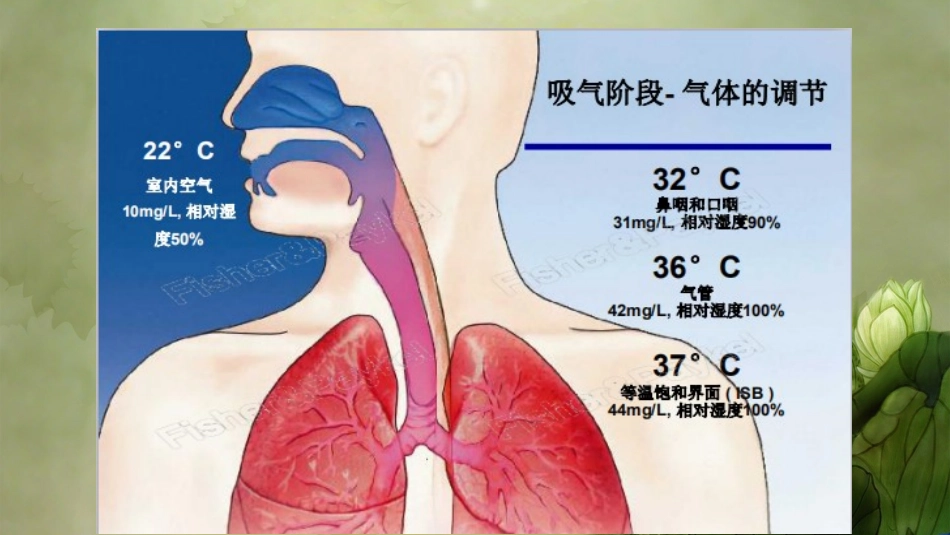 经鼻高流量湿化氧疗_第3页