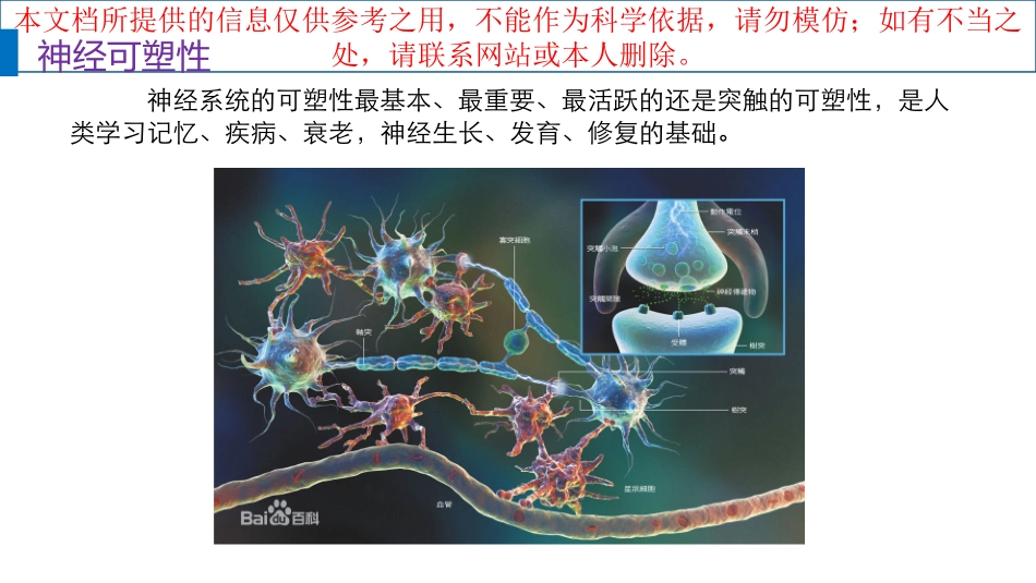经颅磁刺激技术简介培训课件_第3页