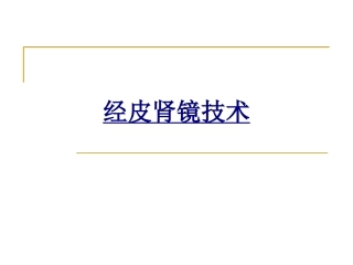 经皮肾镜技术讲义