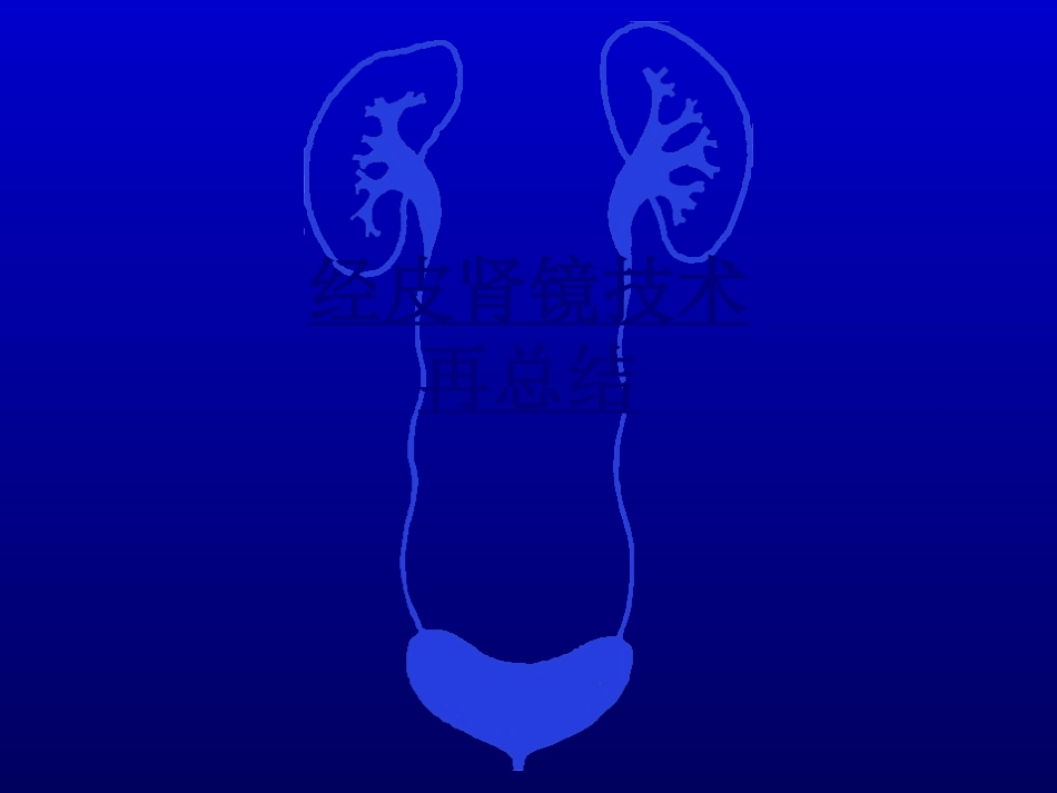 经皮肾镜技术再总结讲义_第1页