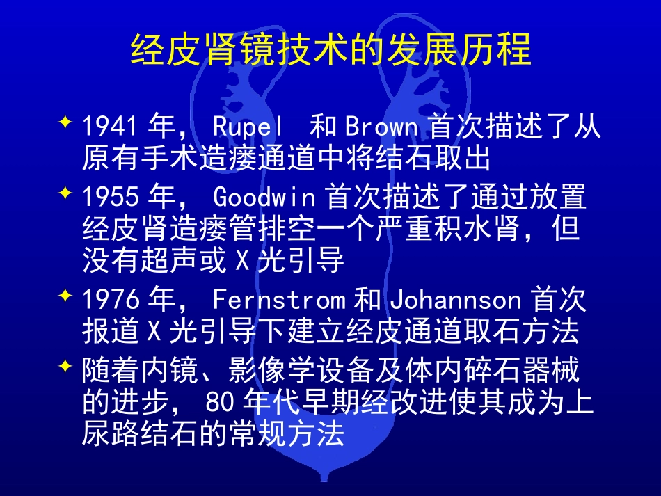 经皮肾镜技术再总结讲义_第2页