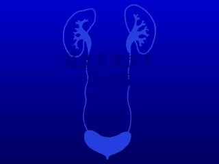 经皮肾镜技术再总结讲义