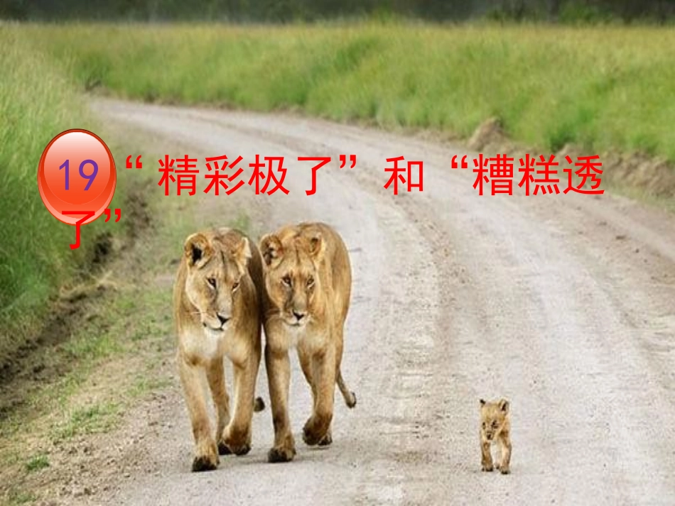 精彩极了和糟糕透了_第1页