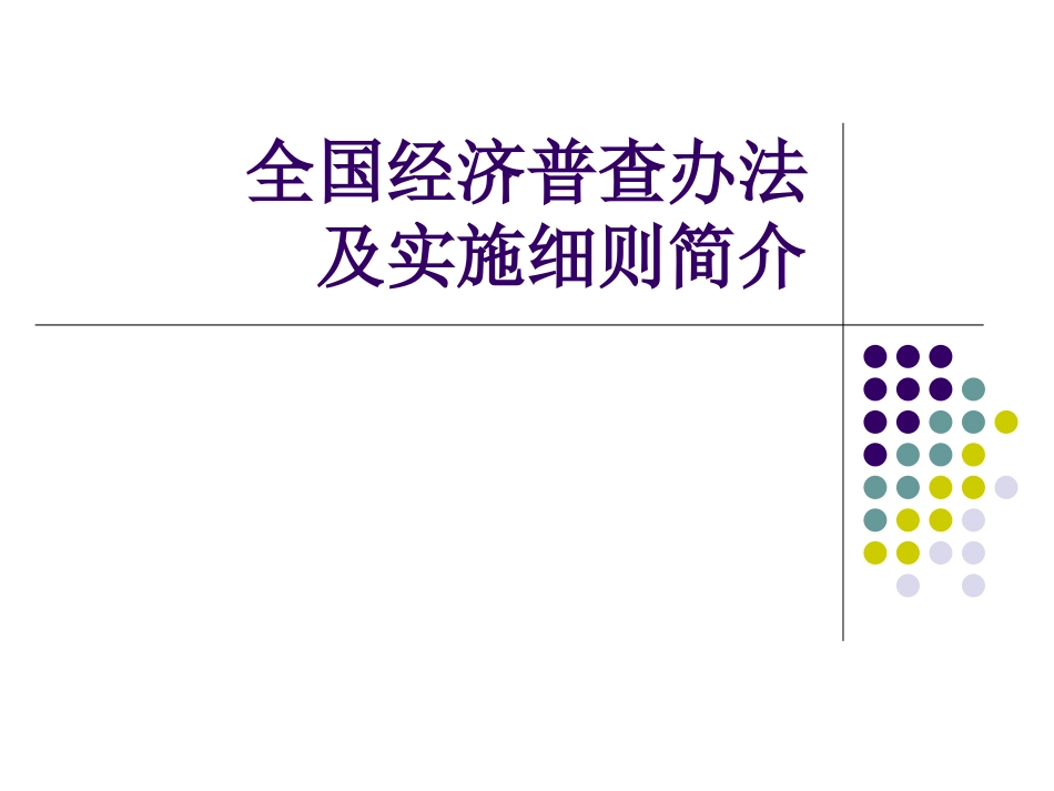 精品模板第一次全国经济普查办法及实施细则模板_第1页
