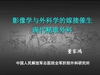 精准肝切除董家鸿