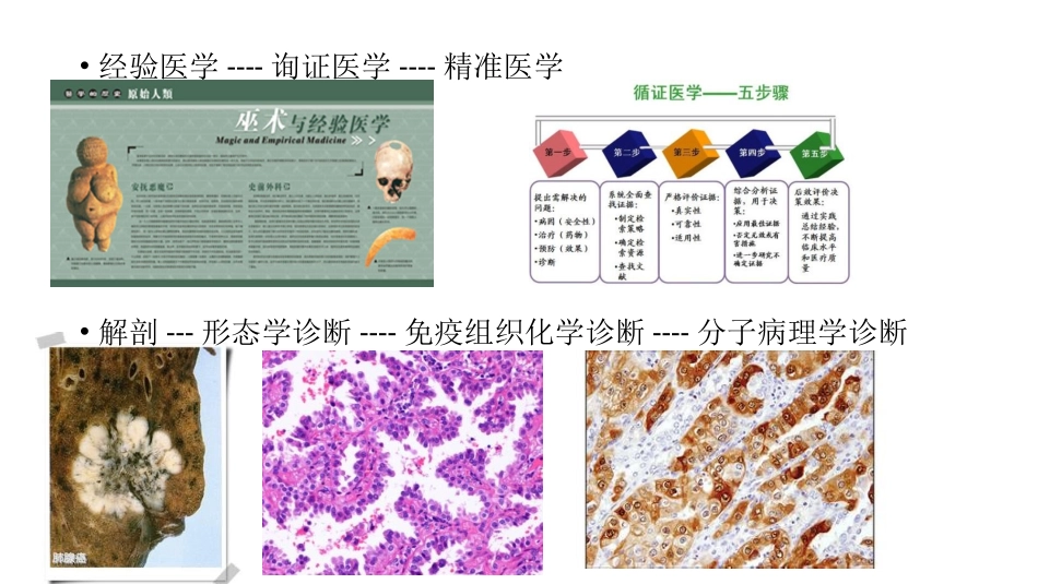 精准医学与分子病理学_第3页