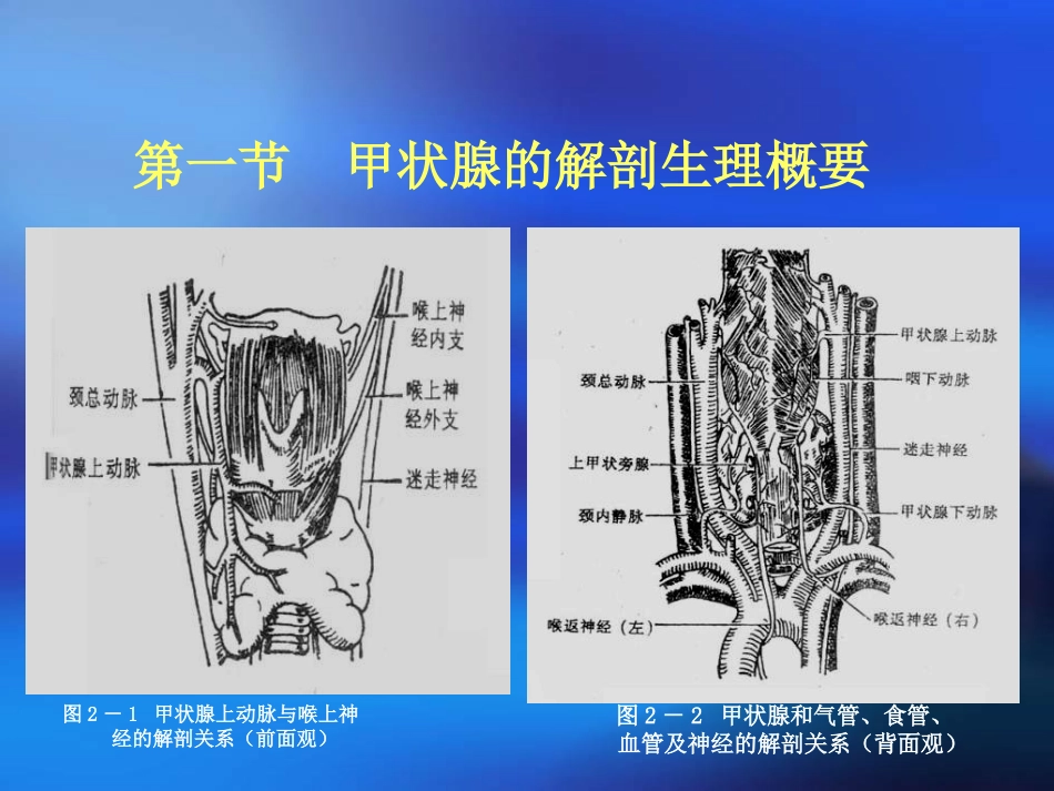 颈部疾病病人的护理_第3页