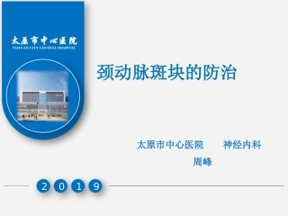 颈动脉斑块的防治