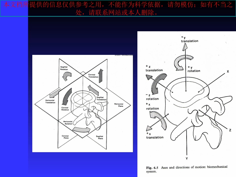 颈椎病的正骨推拿治疗培训课件_第2页