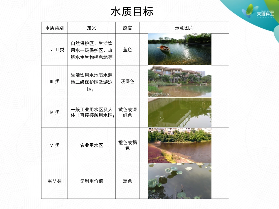 景观水处理及生态修复技术介绍_第3页