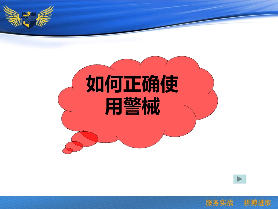 警械的正确使用以和法律适用教育课件_第2页