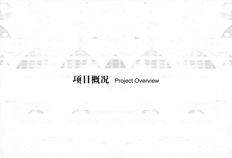 酒吧设计方案_第3页