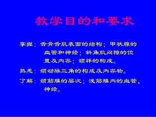 局部解剖学颈部