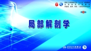 局部解剖学学脊柱区