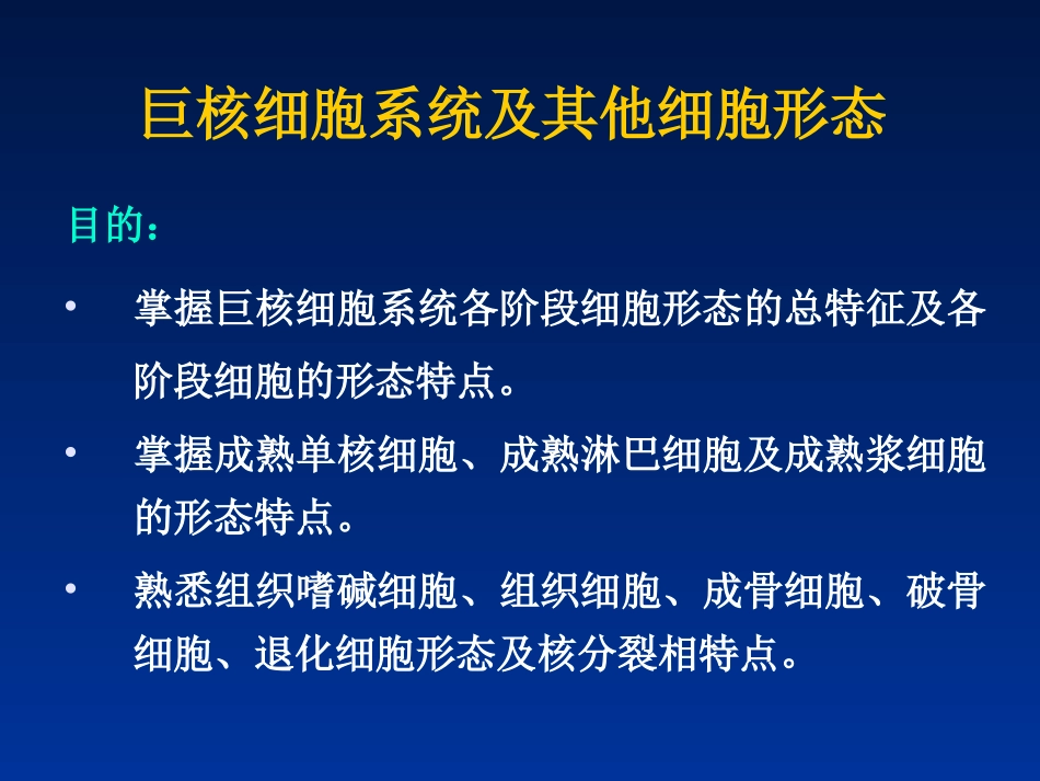 巨核细胞及其它细胞_第1页