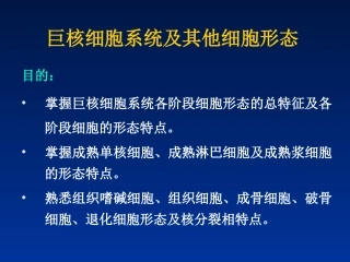 巨核细胞及其它细胞