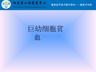 巨幼细胞贫血课件