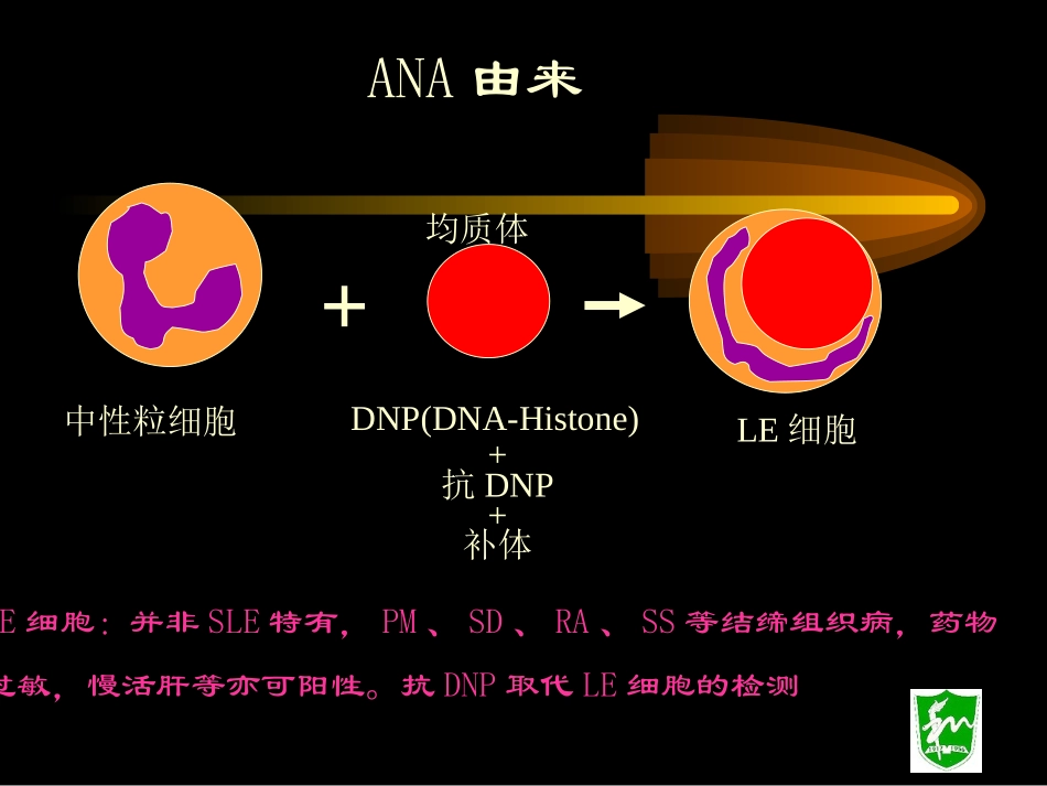 抗核抗体分析解析_第3页