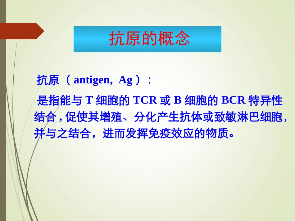 抗原及其识别_第3页