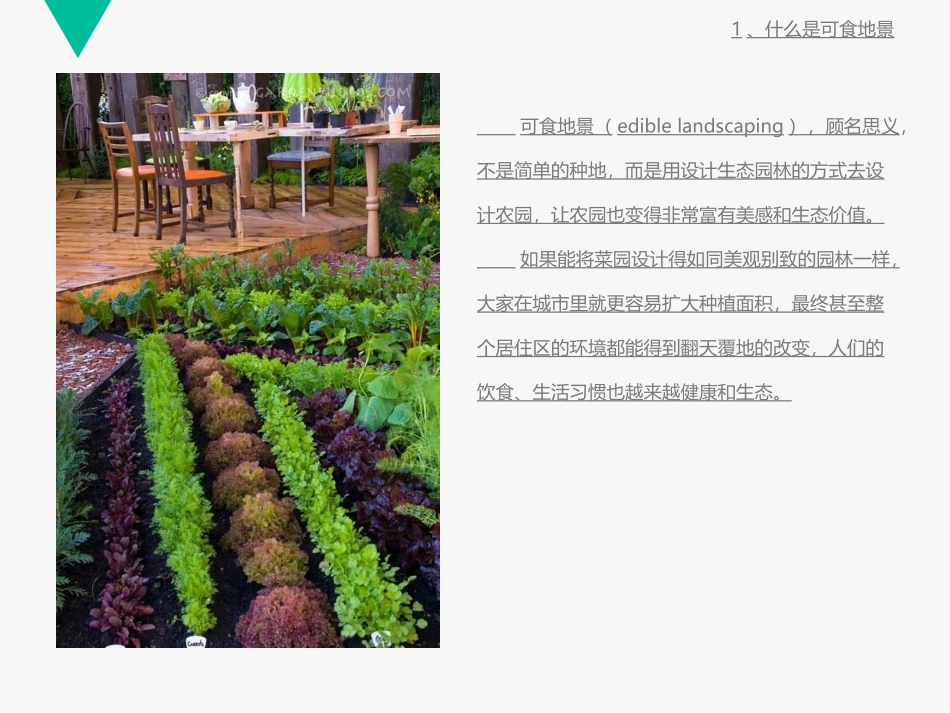可食景观设计要点和案例分析专题培训课件_第2页