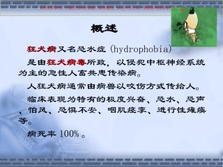 狂犬病病人的护理课件