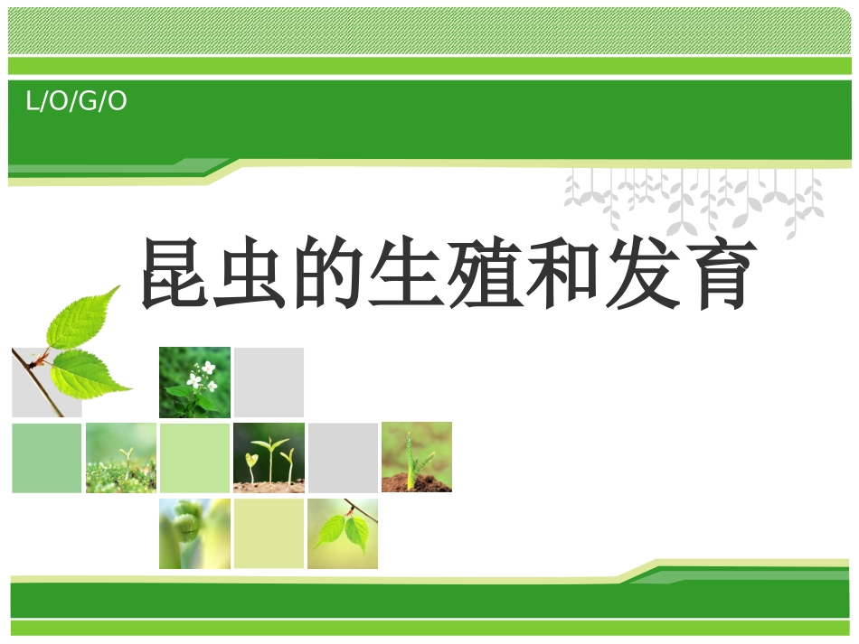 昆虫的生殖和发育_第2页