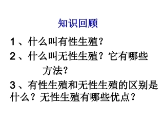 昆虫的生殖和发育