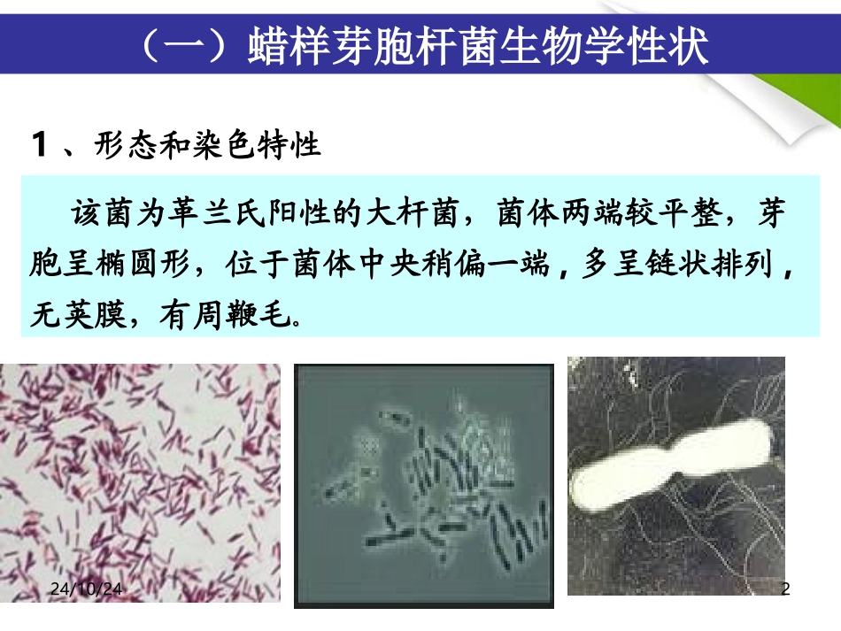 蜡样芽胞杆菌的检验_第2页