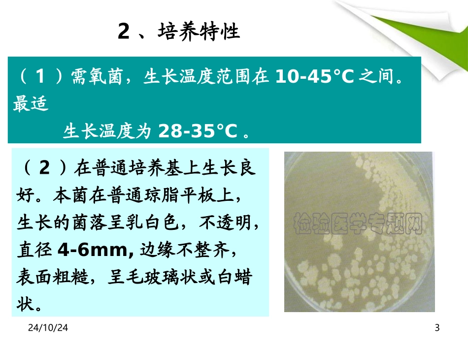 蜡样芽胞杆菌的检验_第3页