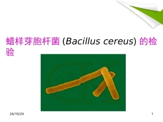蜡样芽胞杆菌的检验