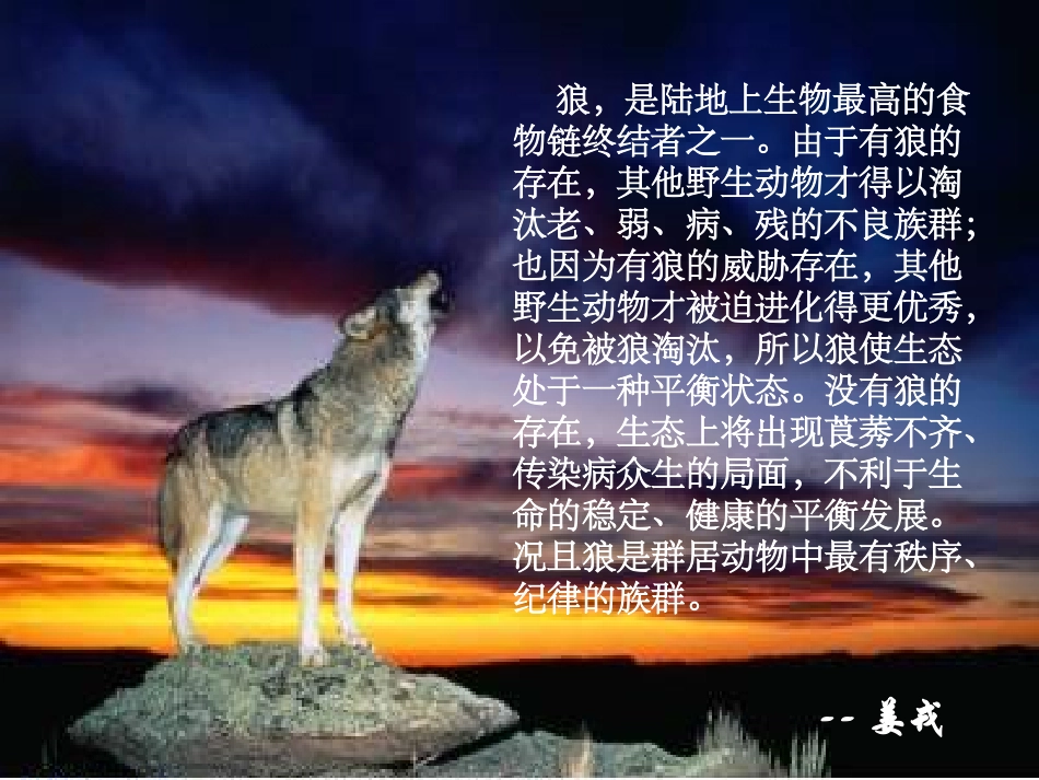 狼图腾狼的精神_第3页