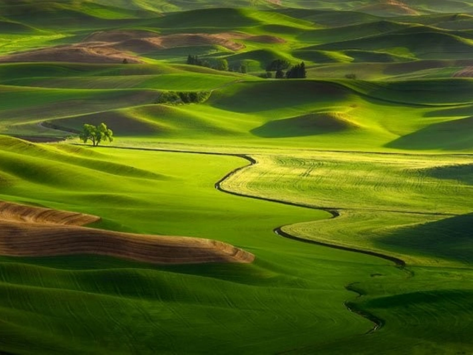 离职风险防控_第1页