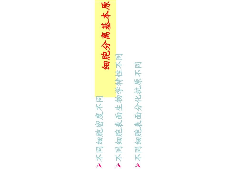 淋巴细胞分离描述_第3页