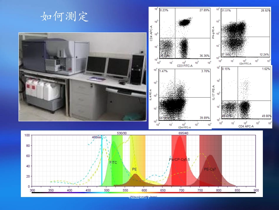 淋巴细胞亚群课件_第2页