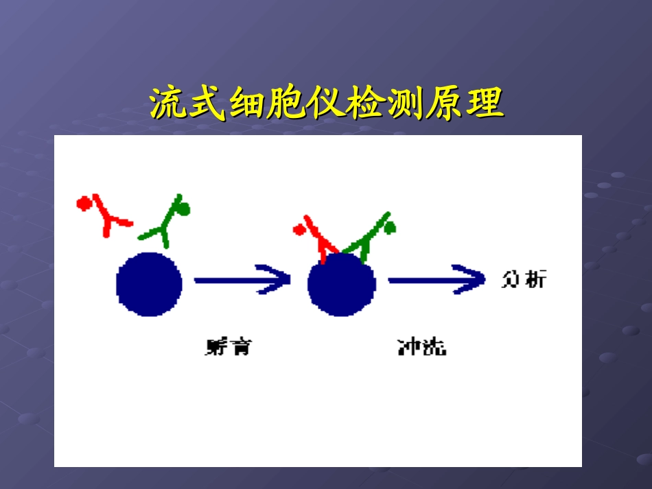 流式检测淋巴细胞亚群在临床中的应用_第3页