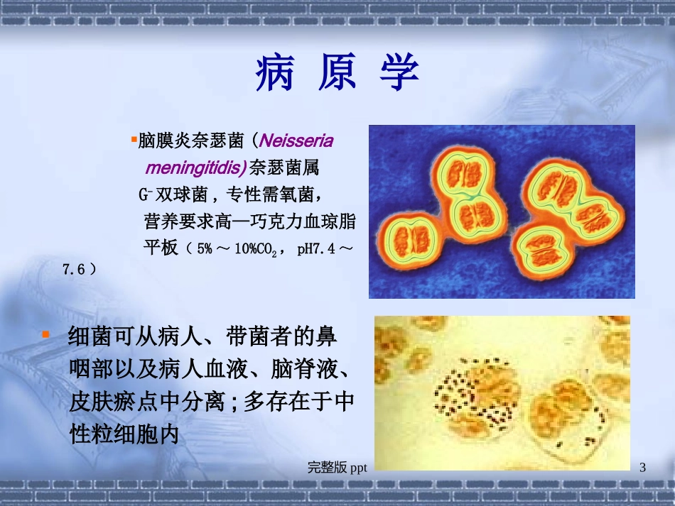 流行性脑脊髓膜炎_第3页