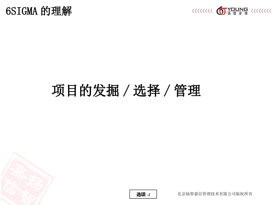 六西格玛项目选择_第1页
