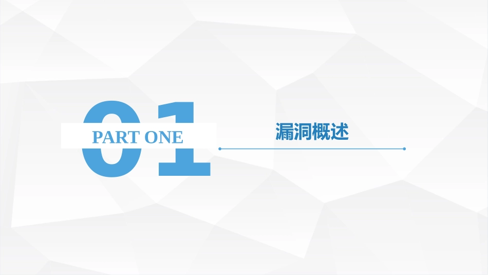 漏洞扫描讲解_第3页