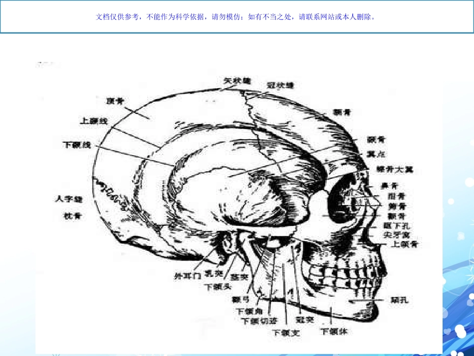 颅底骨折医疗护理查房课件_第3页