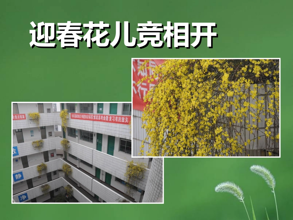 罗森塔尔效应的启示_第1页