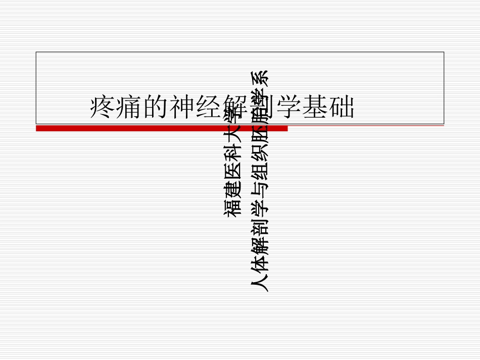 麻醉解剖学疼痛_第1页